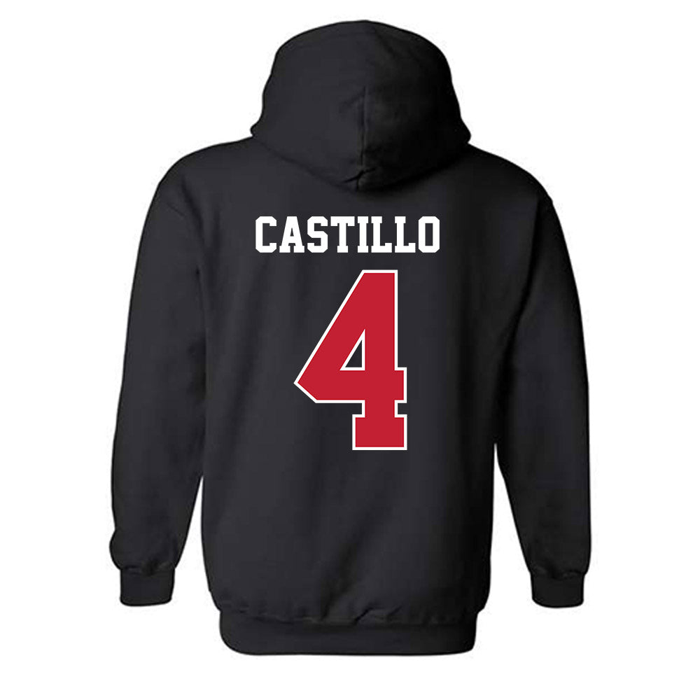 New Mexico - NCAA Softball : Ava Castillo - Classic Fashion Shersey Hooded Sweatshirt-1