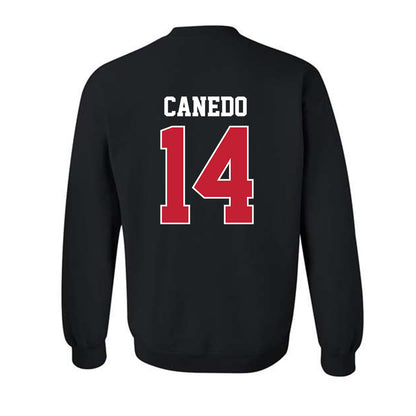 New Mexico - NCAA Women's Volleyball : Camila Canedo - Classic Fashion Shersey Crewneck Sweatshirt-1