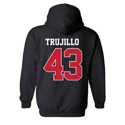 New Mexico - NCAA Baseball : Gene Trujillo - Classic Fashion Shersey Hooded Sweatshirt-1