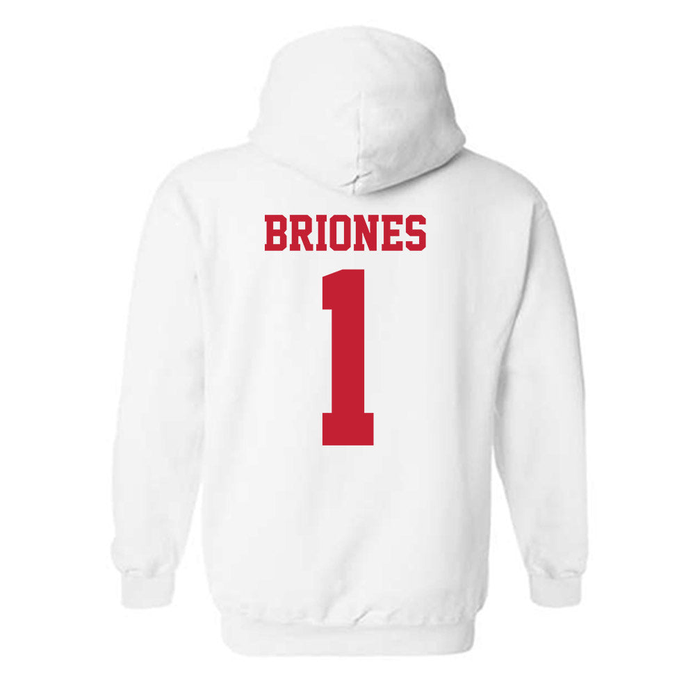 New Mexico - NCAA Softball : Gabrielle Briones - Classic Fashion Shersey Hooded Sweatshirt-1