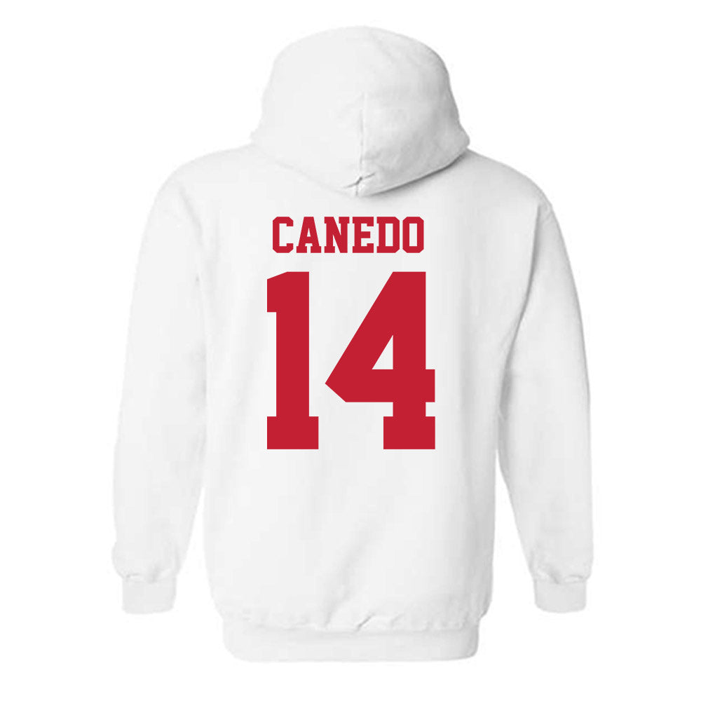 New Mexico - NCAA Women's Volleyball : Camila Canedo - Classic Fashion Shersey Hooded Sweatshirt-1
