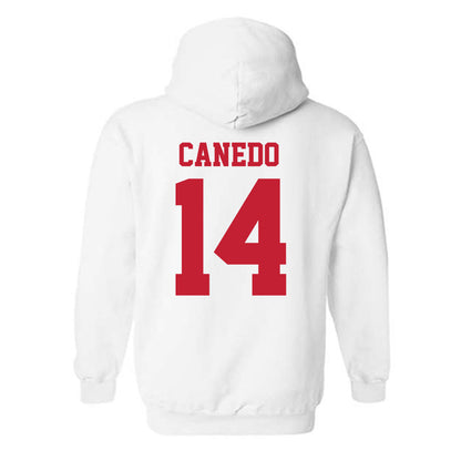 New Mexico - NCAA Women's Volleyball : Camila Canedo - Classic Fashion Shersey Hooded Sweatshirt-1