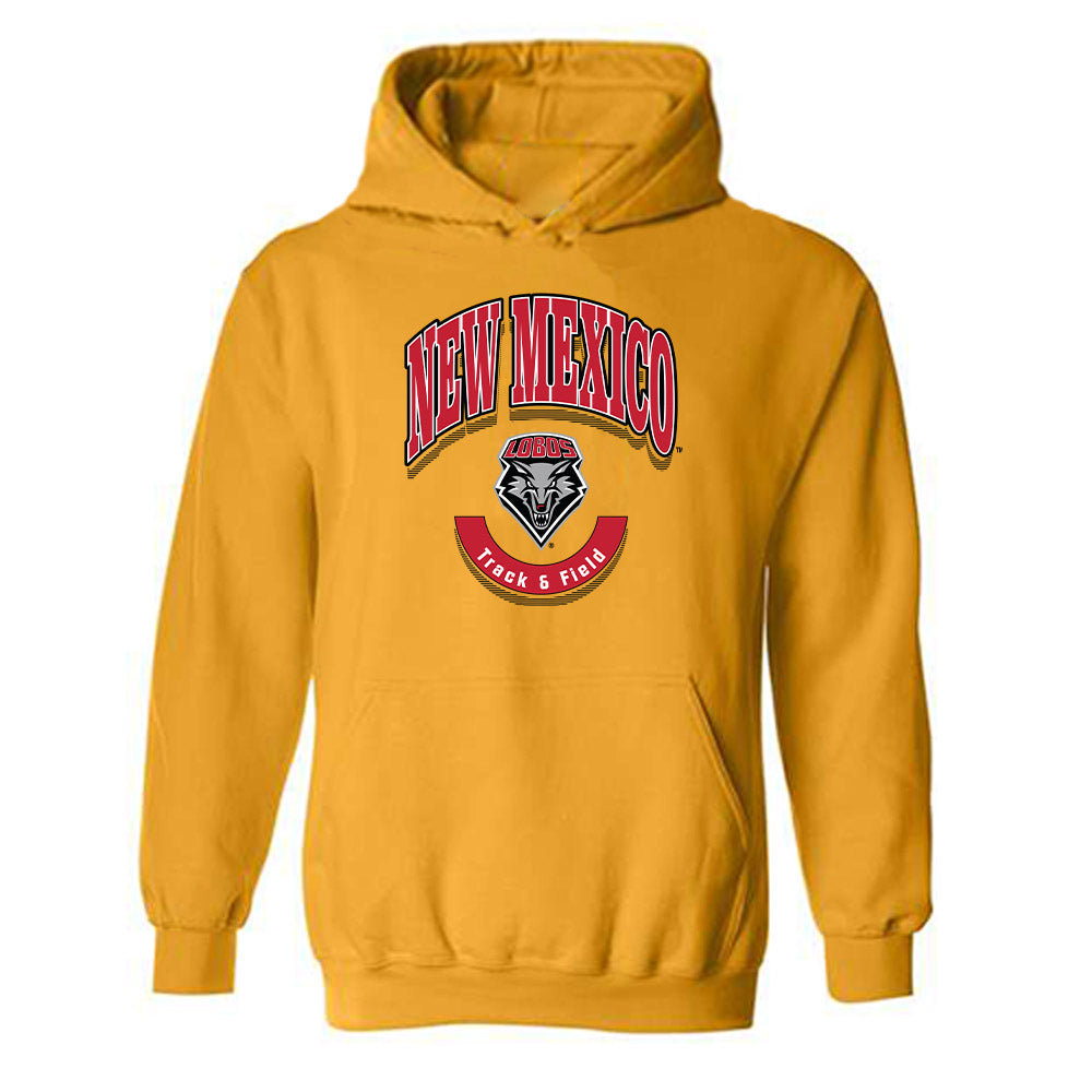 New Mexico - NCAA Women's Track & Field : Alyssa Gregory - Classic Fashion Shersey Hooded Sweatshirt-0