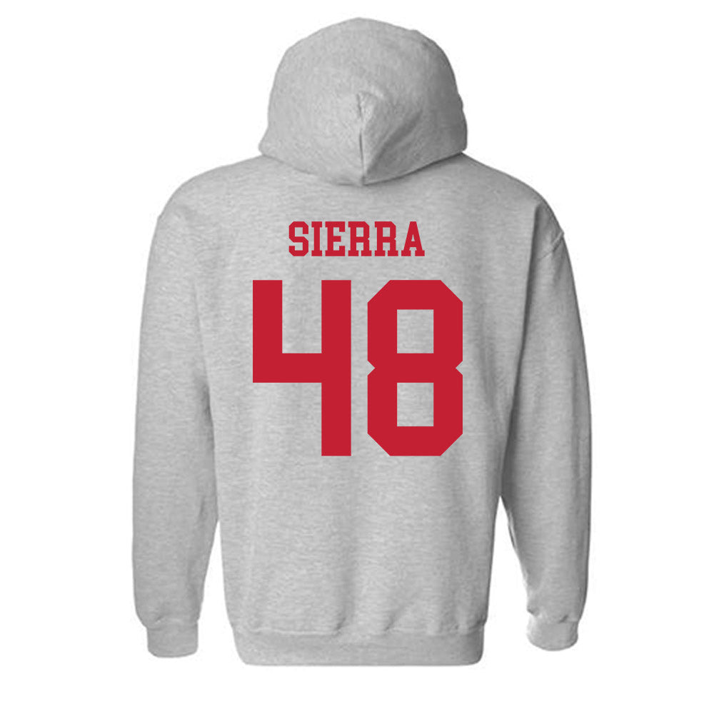 New Mexico - NCAA Football : John Sierra - Classic Fashion Shersey Hooded Sweatshirt-1