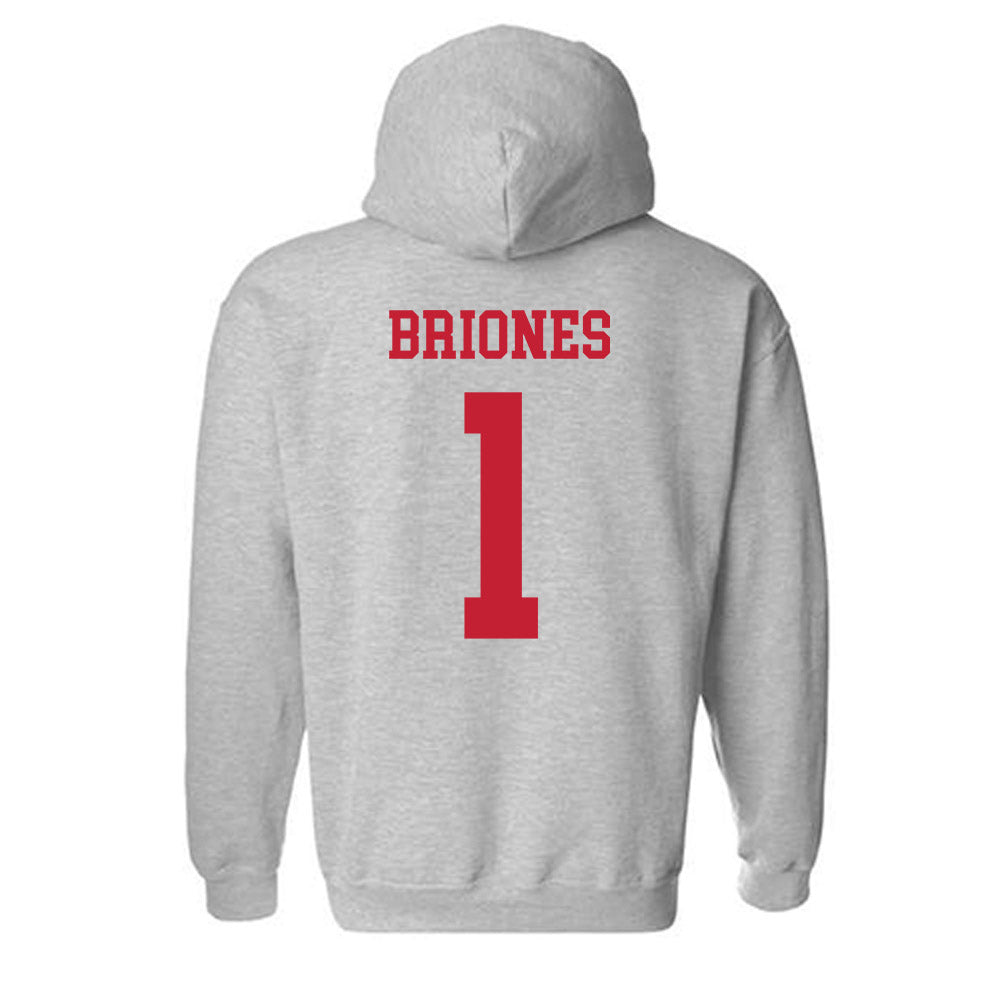 New Mexico - NCAA Softball : Gabrielle Briones - Classic Fashion Shersey Hooded Sweatshirt-1