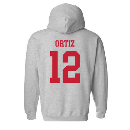 New Mexico - NCAA Softball : Alina Ortiz - Classic Fashion Shersey Hooded Sweatshirt-1