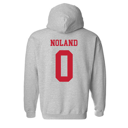 New Mexico - NCAA Men's Basketball : CJ Noland - Classic Fashion Shersey Hooded Sweatshirt-1