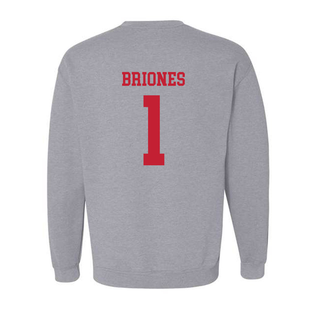 New Mexico - NCAA Softball : Gabrielle Briones - Classic Fashion Shersey Crewneck Sweatshirt-1