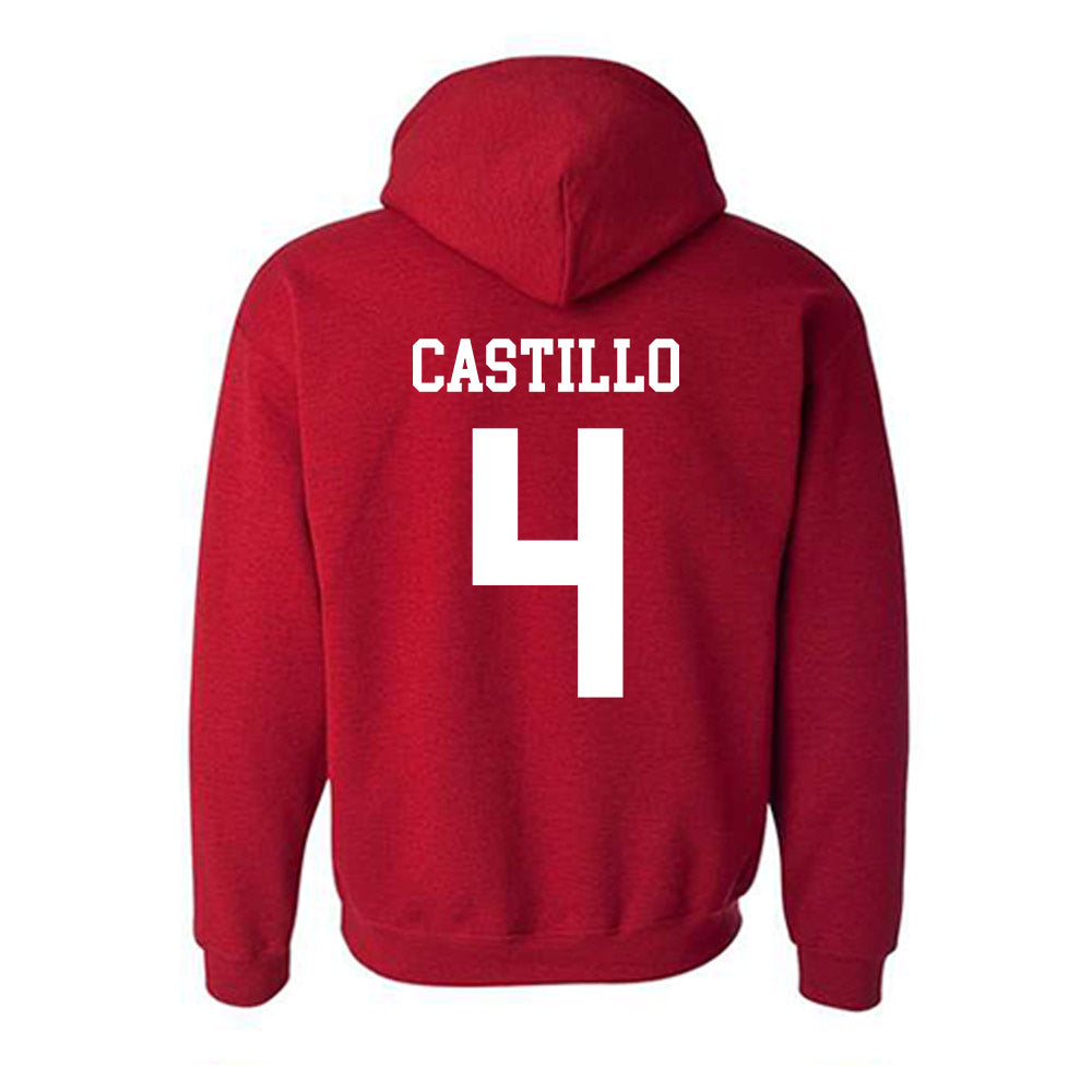 New Mexico - NCAA Softball : Ava Castillo - Classic Shersey Hooded Sweatshirt-1