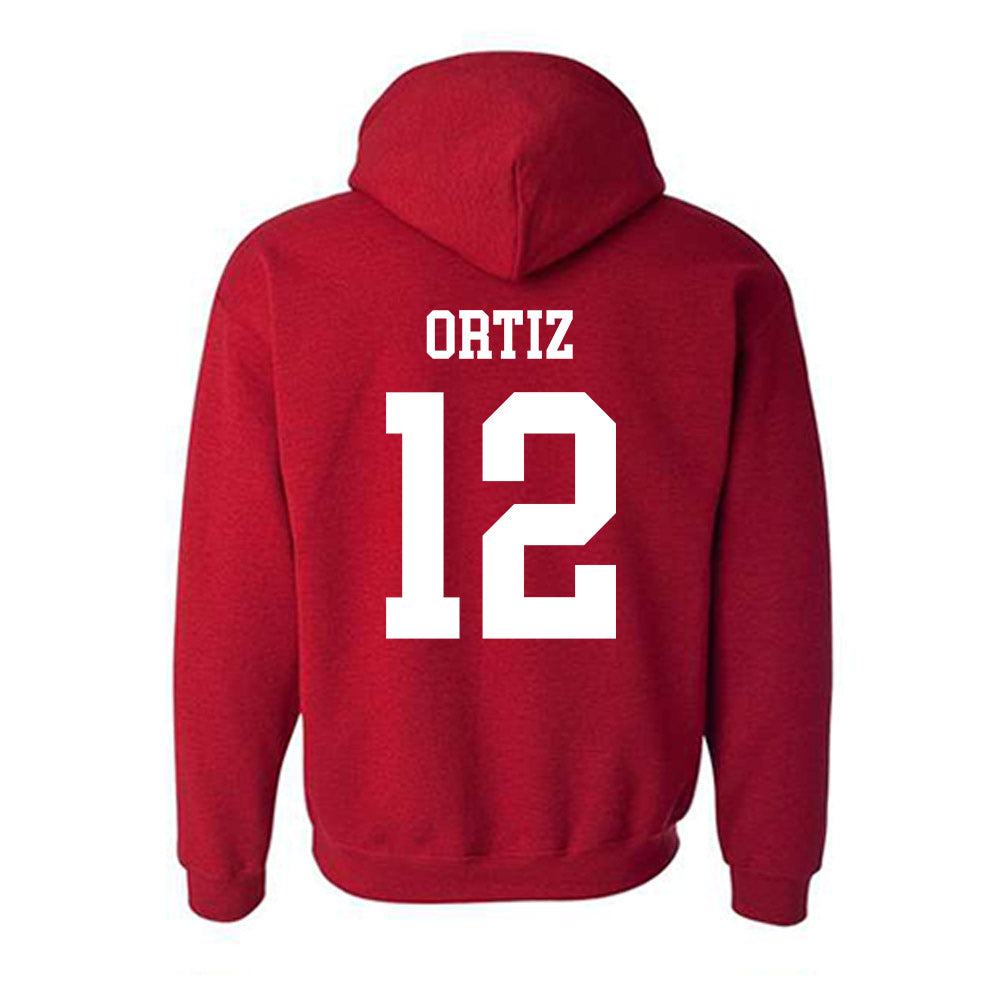 New Mexico - NCAA Softball : Alina Ortiz - Classic Shersey Hooded Sweatshirt-1