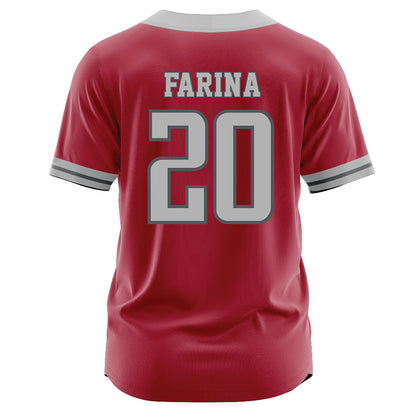 St. Joe's - NCAA Softball : Ava Farina - Crimson Jersey-1