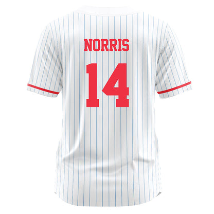 Liberty - NCAA Softball : Aubry Norris - White Pinstripe Jersey-1
