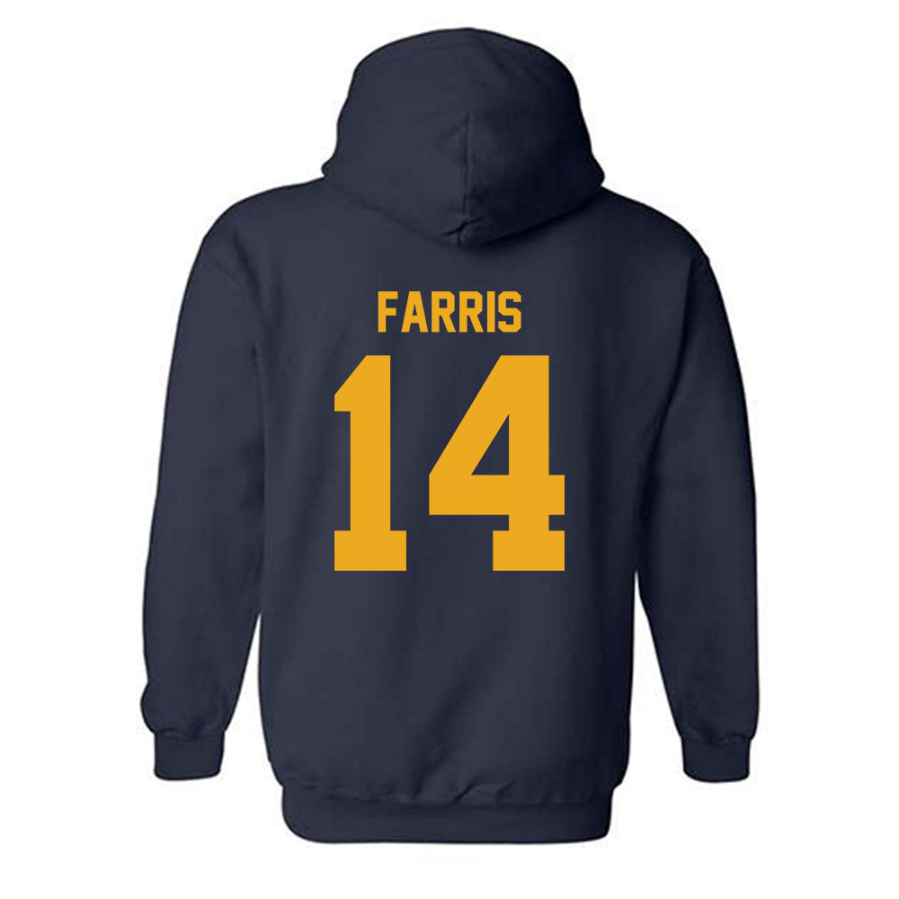 Canisius - NCAA Softball : Gabi Farris - Classic Shersey Hooded Sweatshirt-1