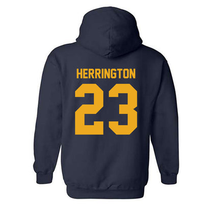 Canisius - NCAA Softball : Olivia Herrington - Classic Shersey Hooded Sweatshirt-1