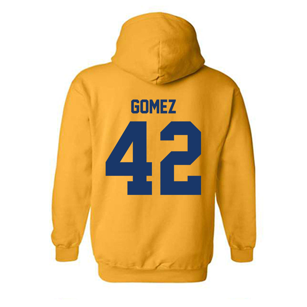 Canisius - NCAA Softball : Rosella Gomez - Classic Shersey Hooded Sweatshirt