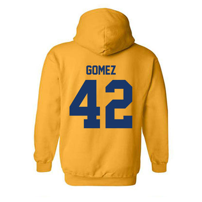Canisius - NCAA Softball : Rosella Gomez - Classic Shersey Hooded Sweatshirt