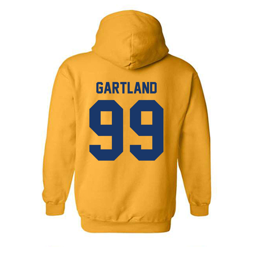 Canisius - NCAA Women's Lacrosse : Camille Gartland - Classic Shersey Hooded Sweatshirt