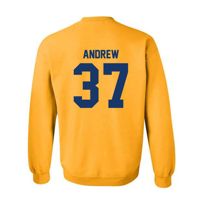 Canisius - NCAA Men's Ice Hockey : Hunter Andrew - Classic Shersey Crewneck Sweatshirt-1