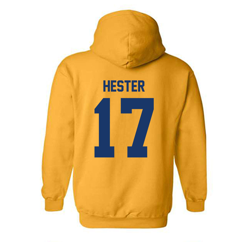 Canisius - NCAA Softball : Renee Hester - Classic Shersey Hooded Sweatshirt-1