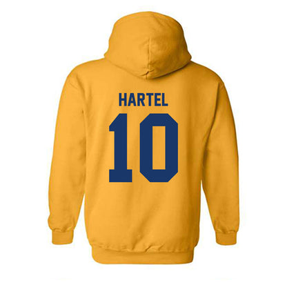 Canisius - NCAA Men's Cross Country : Arthur Hartel - Classic Shersey Hooded Sweatshirt