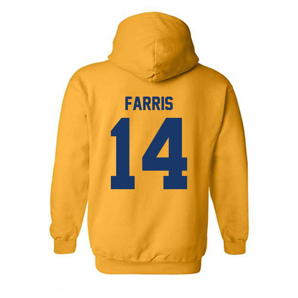 Canisius - NCAA Softball : Gabi Farris - Classic Shersey Hooded Sweatshirt-1