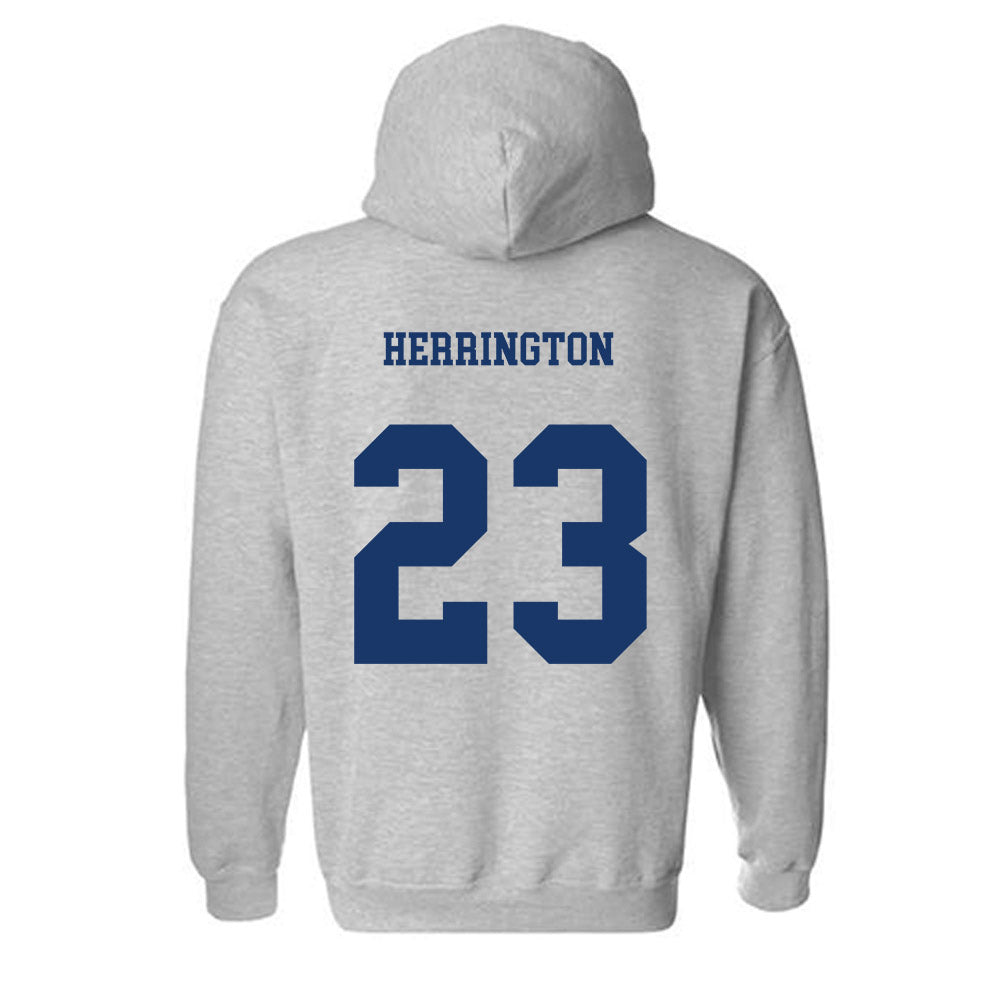 Canisius - NCAA Softball : Olivia Herrington - Classic Shersey Hooded Sweatshirt-1