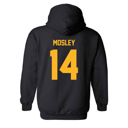 Pittsburgh - NCAA Women's Volleyball : Logan Mosley - Hooded Sweatshirt