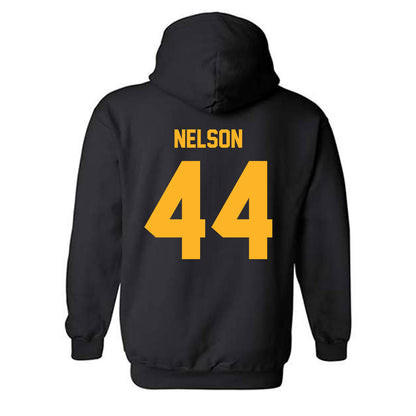 Pittsburgh - NCAA Men's Basketball : Jajuan Nelson - Classic Fashion Shersey Hooded Sweatshirt-1