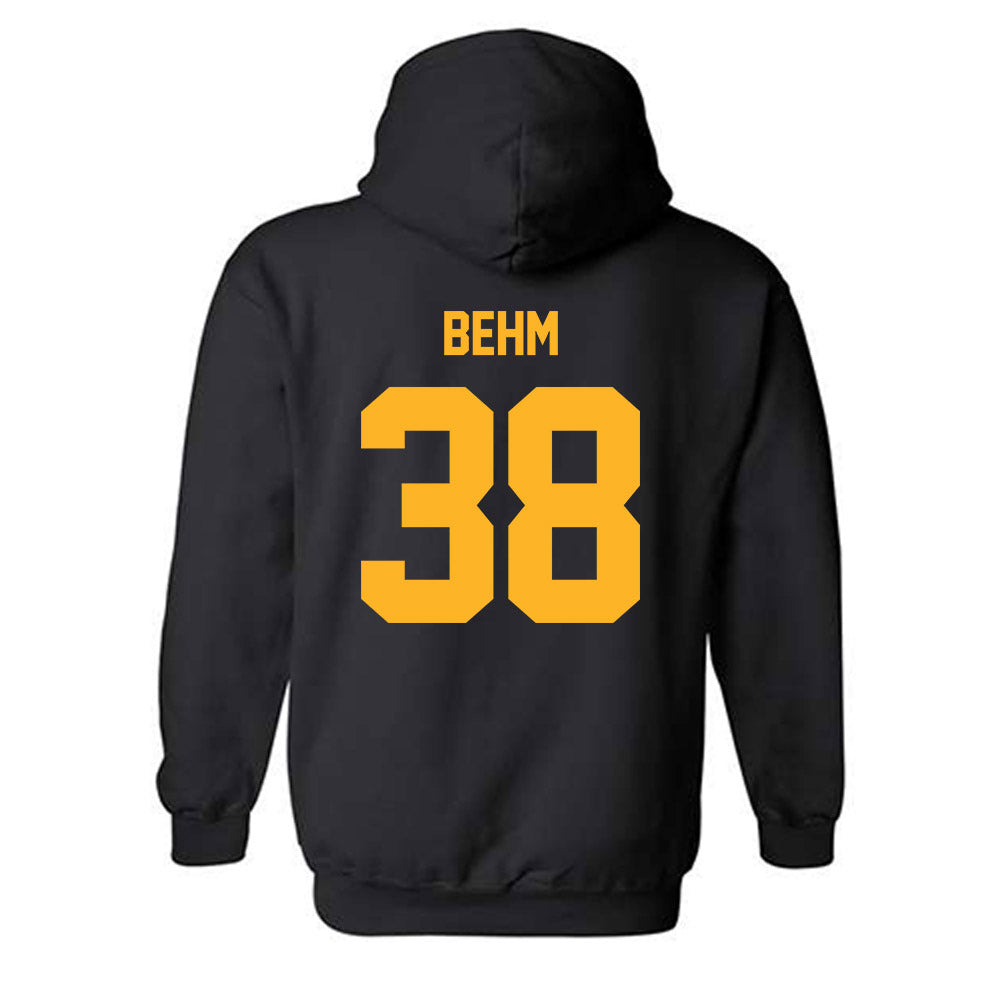 Pittsburgh - NCAA Baseball : Nolan Behm - Classic Fashion Shersey Hooded Sweatshirt-1