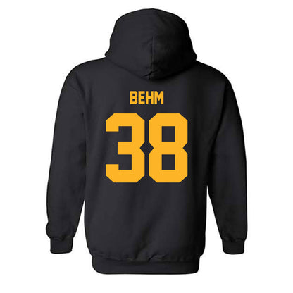Pittsburgh - NCAA Baseball : Nolan Behm - Classic Fashion Shersey Hooded Sweatshirt-1