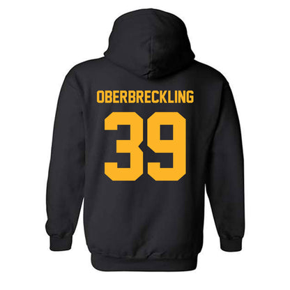 Pittsburgh - NCAA Softball : Addison Oberbreckling - Classic Fashion Shersey Hooded Sweatshirt-1