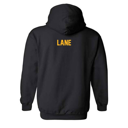 Pittsburgh - NCAA Men's Swimming & Diving : Austin Lane - Hooded Sweatshirt Classic Fashion Shersey