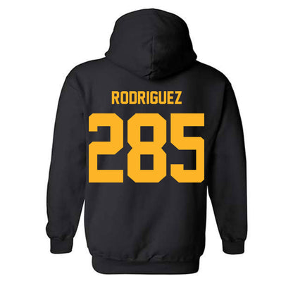 Pittsburgh - NCAA Wrestling : Caleb Rodriguez - Classic Fashion Shersey Hooded Sweatshirt-1