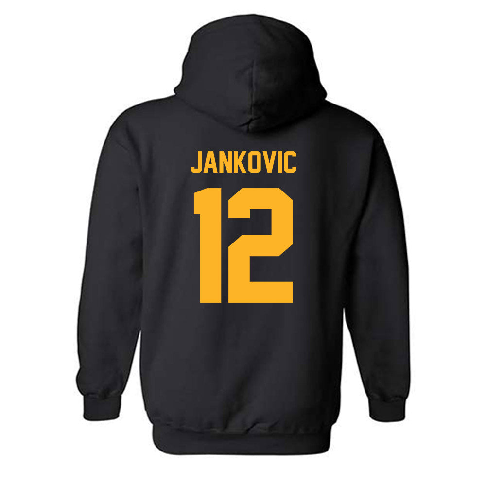 Pittsburgh - NCAA Softball : Mikayla Jankovic - Classic Fashion Shersey Hooded Sweatshirt-1