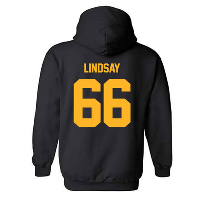 Pittsburgh - NCAA Football : mason lindsay - Classic Fashion Shersey Hooded Sweatshirt