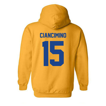 Pittsburgh - NCAA Baseball : joey ciancimino - Classic Shersey Hooded Sweatshirt-1