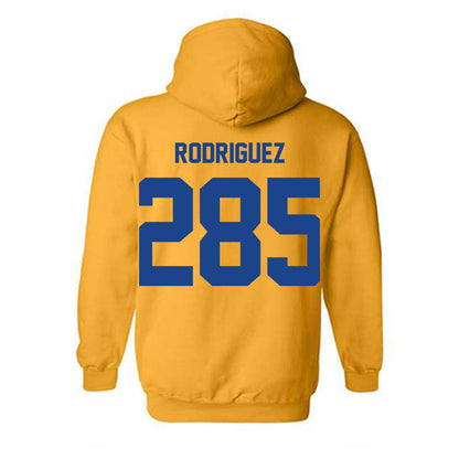 Pittsburgh - NCAA Wrestling : Caleb Rodriguez - Classic Shersey Hooded Sweatshirt-1