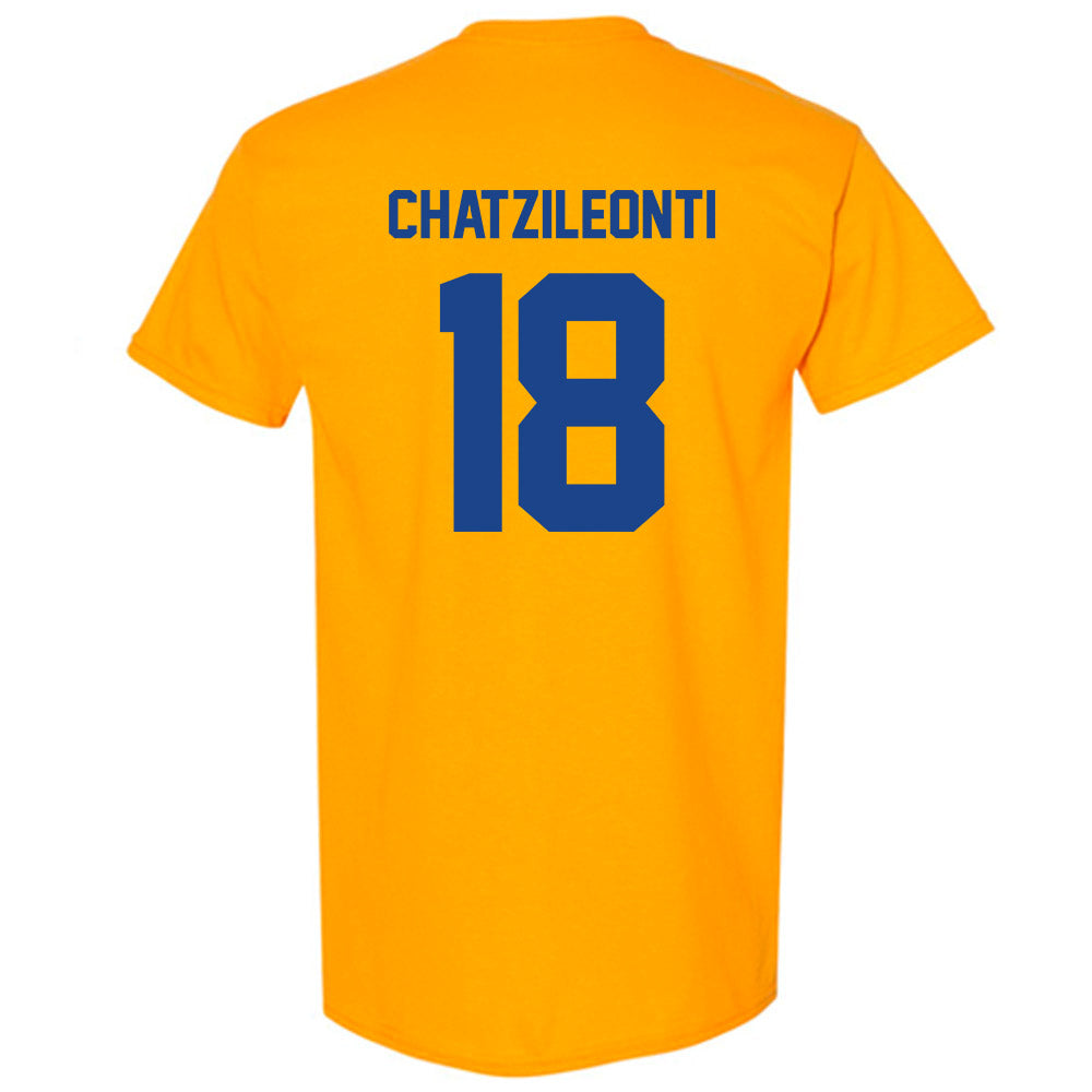 Pittsburgh - NCAA Women's Basketball : Ionanna Chatzileonti - Classic Shersey T-Shirt