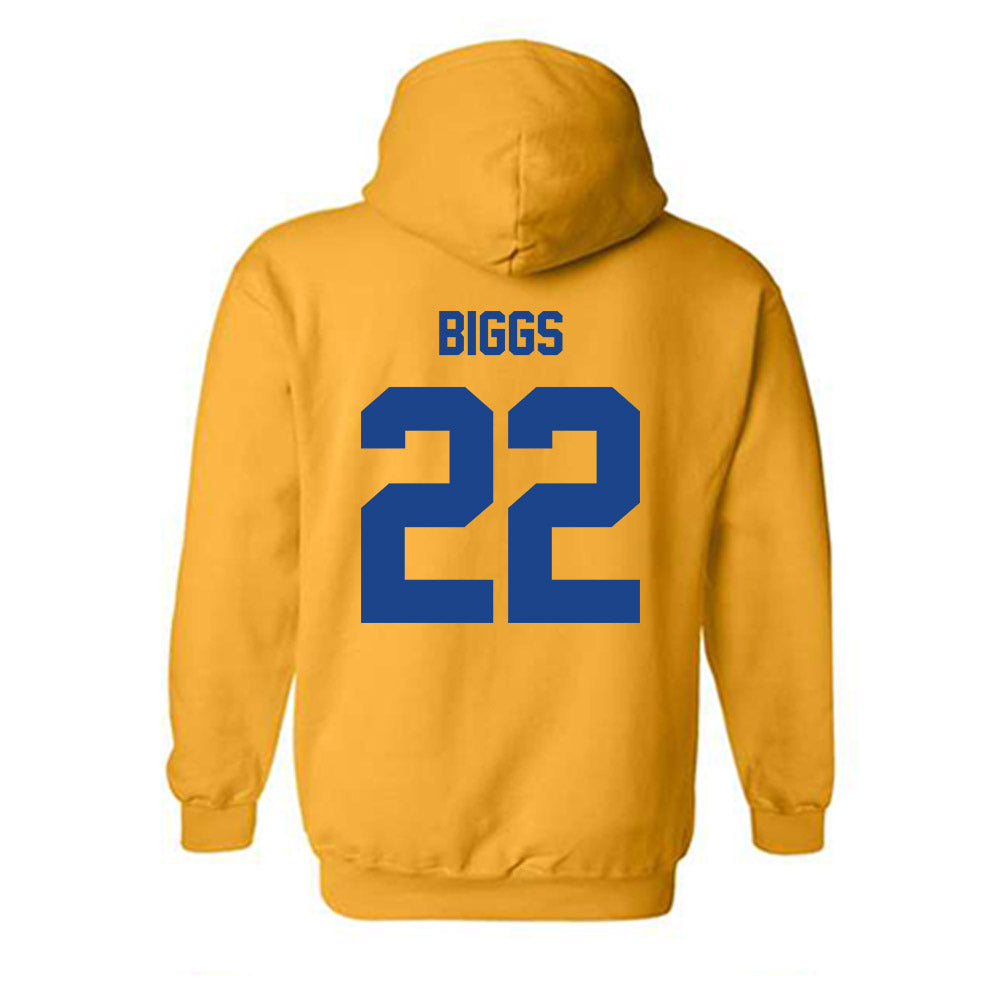 Pittsburgh - NCAA Women's Basketball : Audrey Biggs - Classic Shersey Hooded Sweatshirt