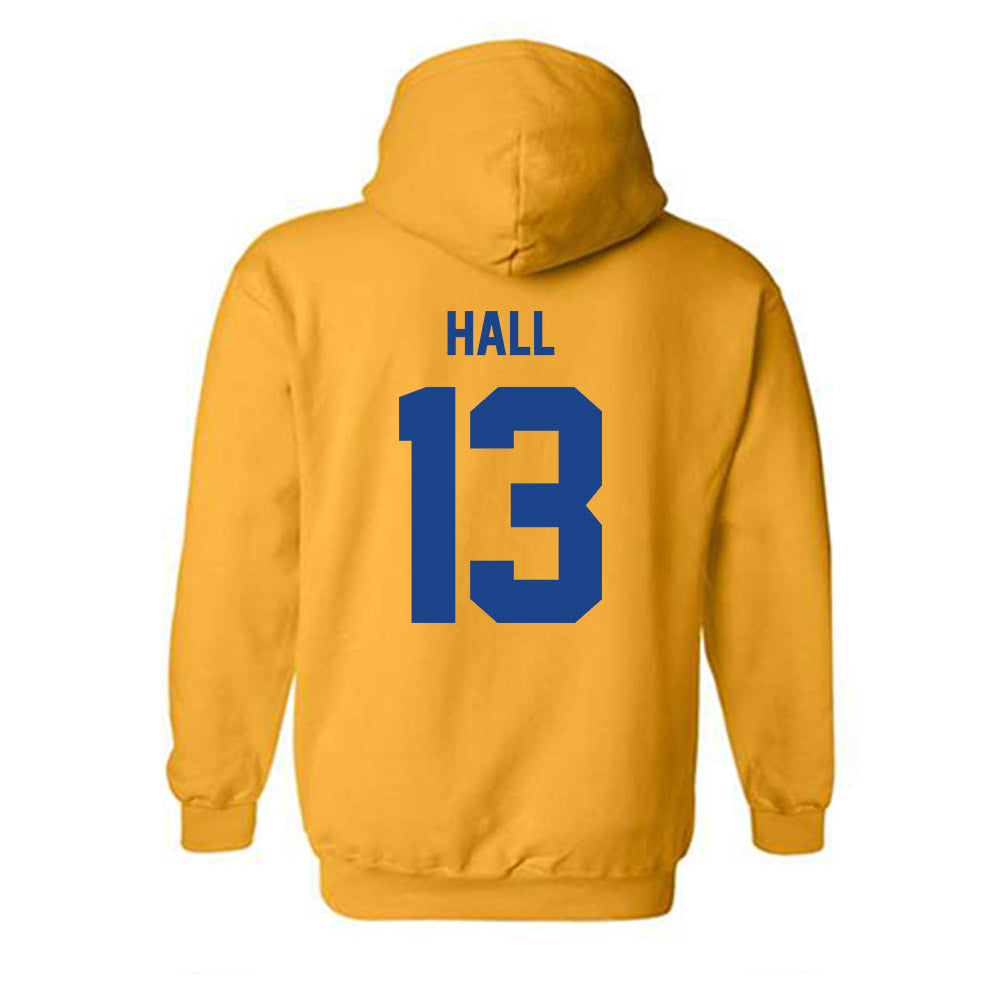 Pittsburgh - NCAA Men's Soccer : Noah Hall - Classic Shersey Hooded Sweatshirt