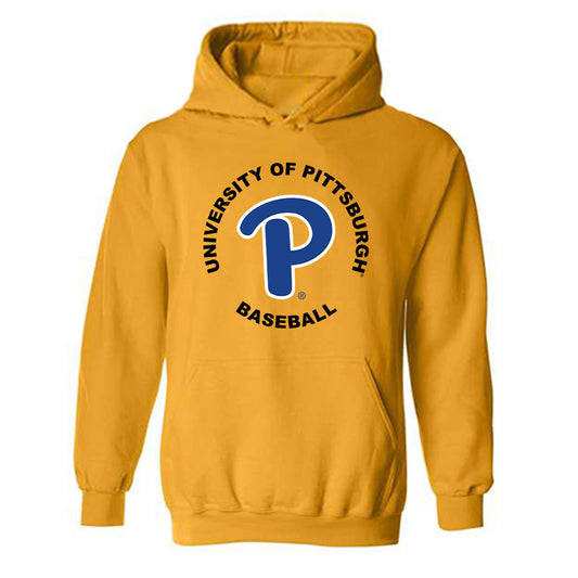 Pittsburgh - NCAA Baseball : Jayden Melendez - Hooded Sweatshirt Classic Fashion Shersey