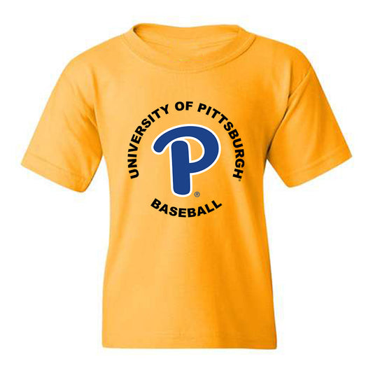 Pittsburgh - NCAA Baseball : CJ Funk - Youth T-Shirt Classic Fashion Shersey