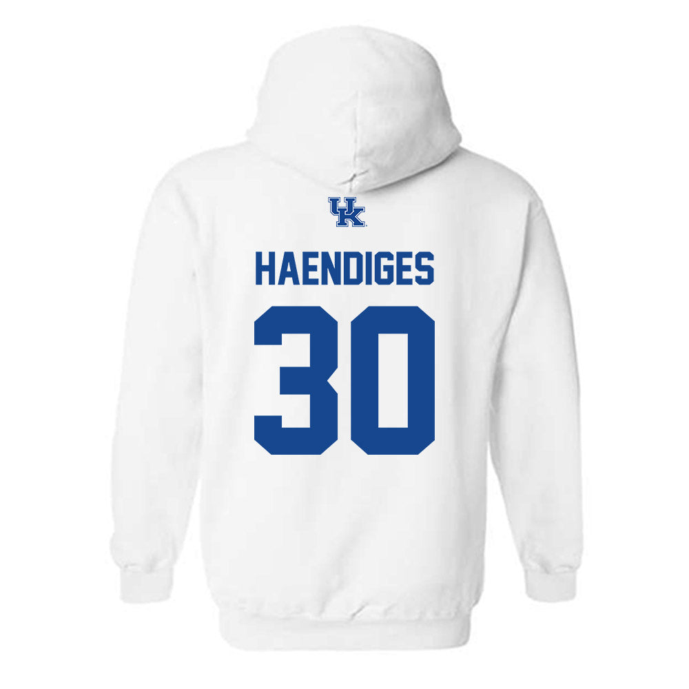 Kentucky - NCAA Softball : Sarah Haendiges - Classic Fashion Shersey Hooded Sweatshirt