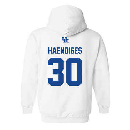 Kentucky - NCAA Softball : Sarah Haendiges - Classic Fashion Shersey Hooded Sweatshirt