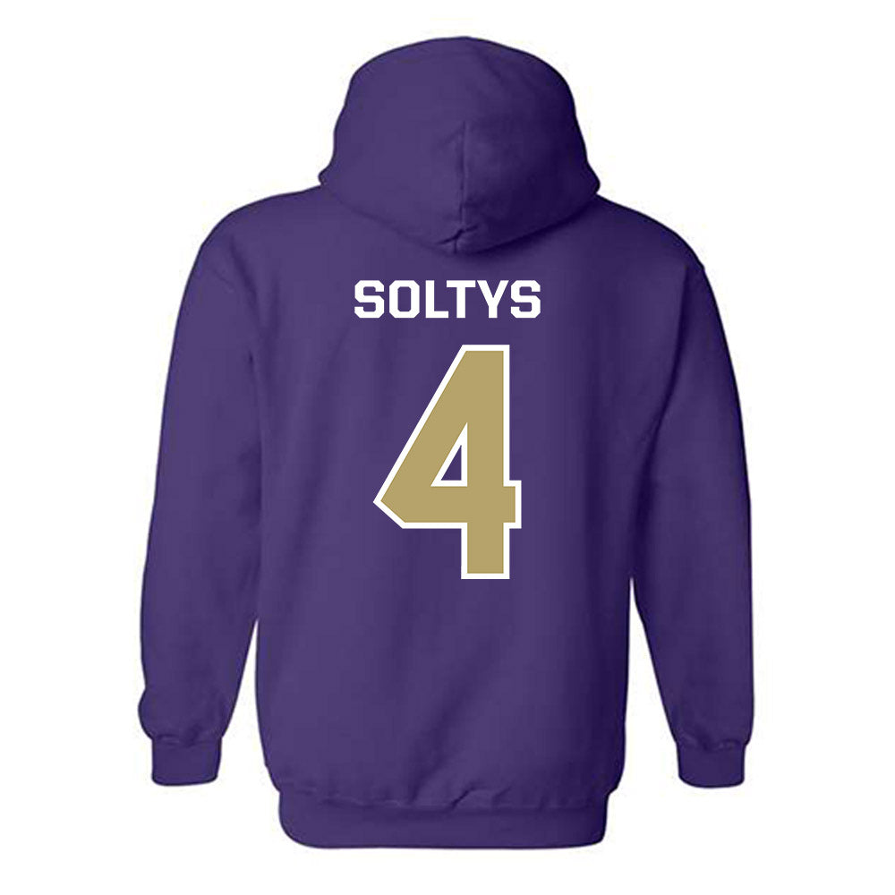 JMU - NCAA Women's Basketball : Delilah Soltys - Classic Shersey Hooded Sweatshirt-1