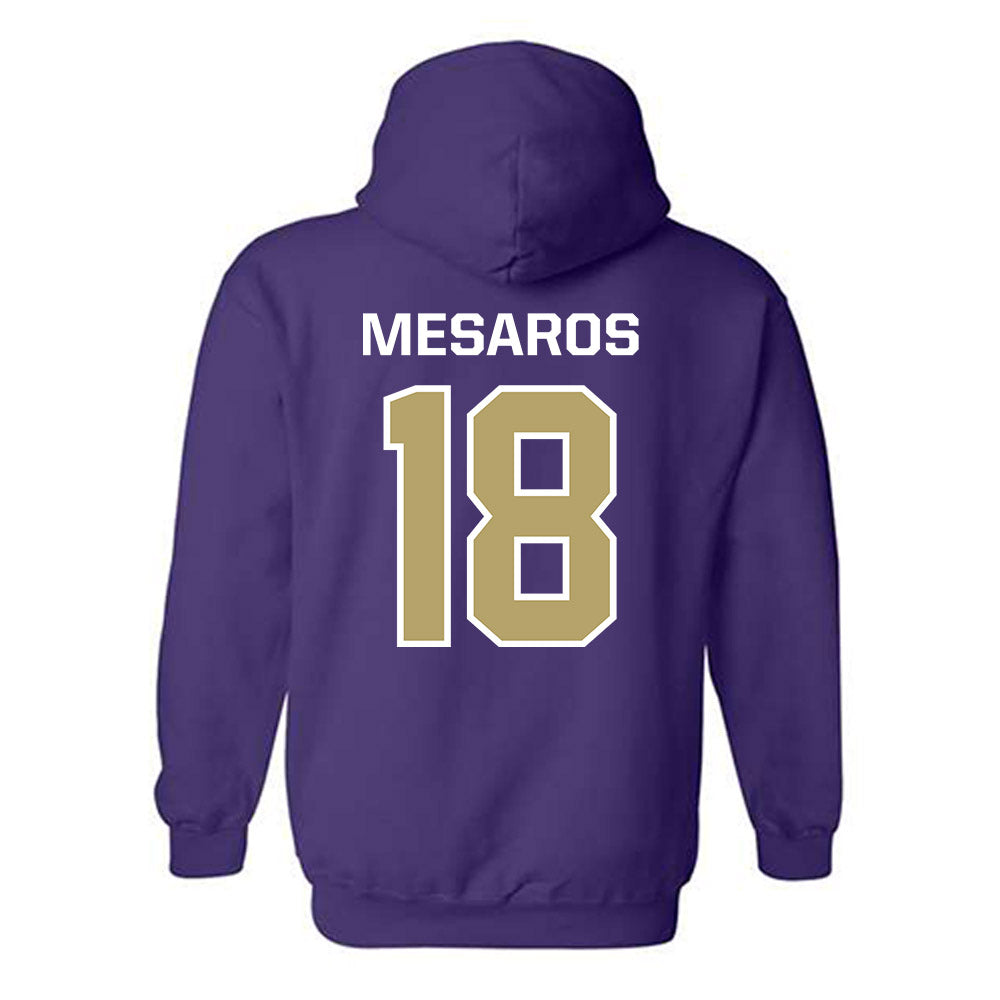 JMU - NCAA Softball : Morgan Mesaros - Classic Shersey Hooded Sweatshirt-1