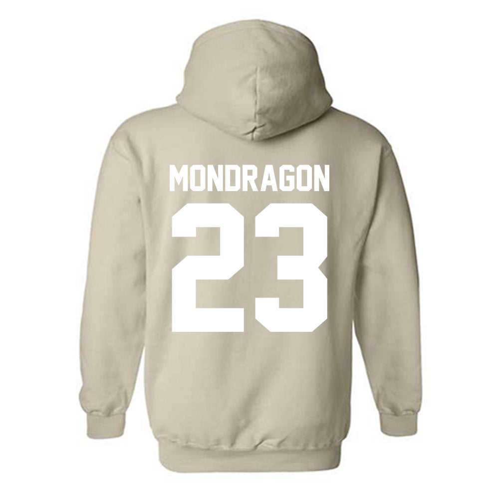 USF - NCAA Men's Soccer : Marcelo Mondragon - Classic Shersey Hooded Sweatshirt