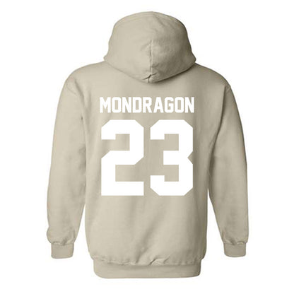 USF - NCAA Men's Soccer : Marcelo Mondragon - Classic Shersey Hooded Sweatshirt