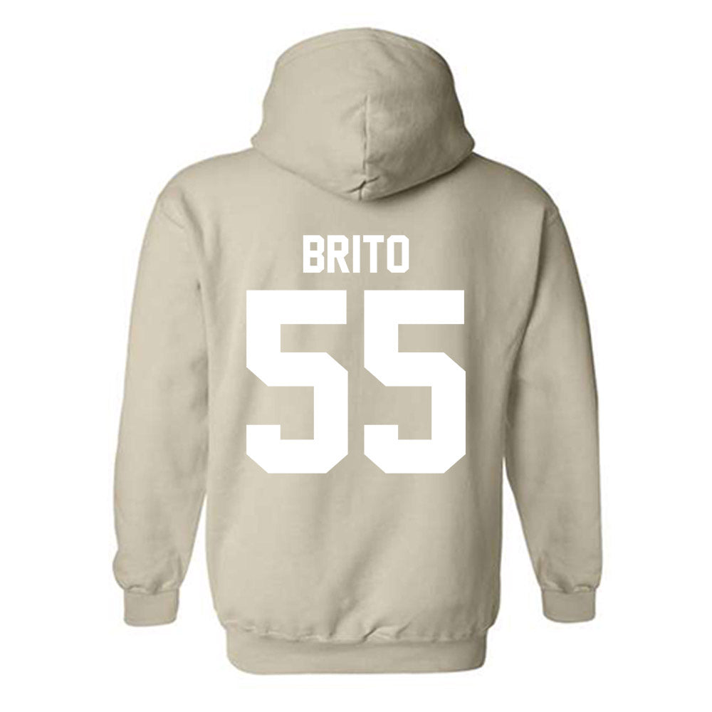 USF - NCAA Women's Basketball : Carla Brito - Classic Shersey Hooded Sweatshirt-1