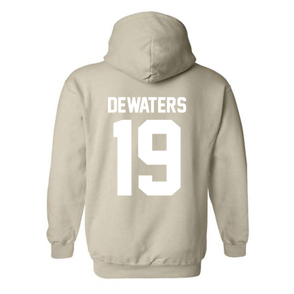 USF - NCAA Softball : Abbie DeWaters - Classic Shersey Hooded Sweatshirt-1